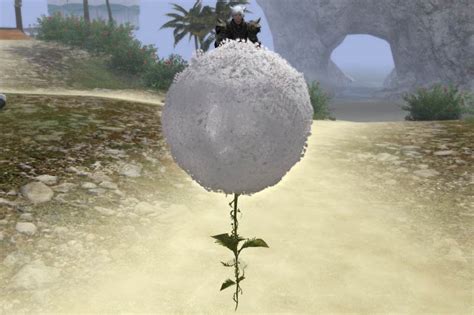 moogle beast tribe mount ff14.